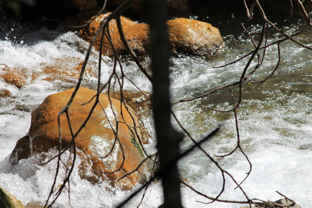 Au Pied Des Baous Panzió Vence Kültér fotó