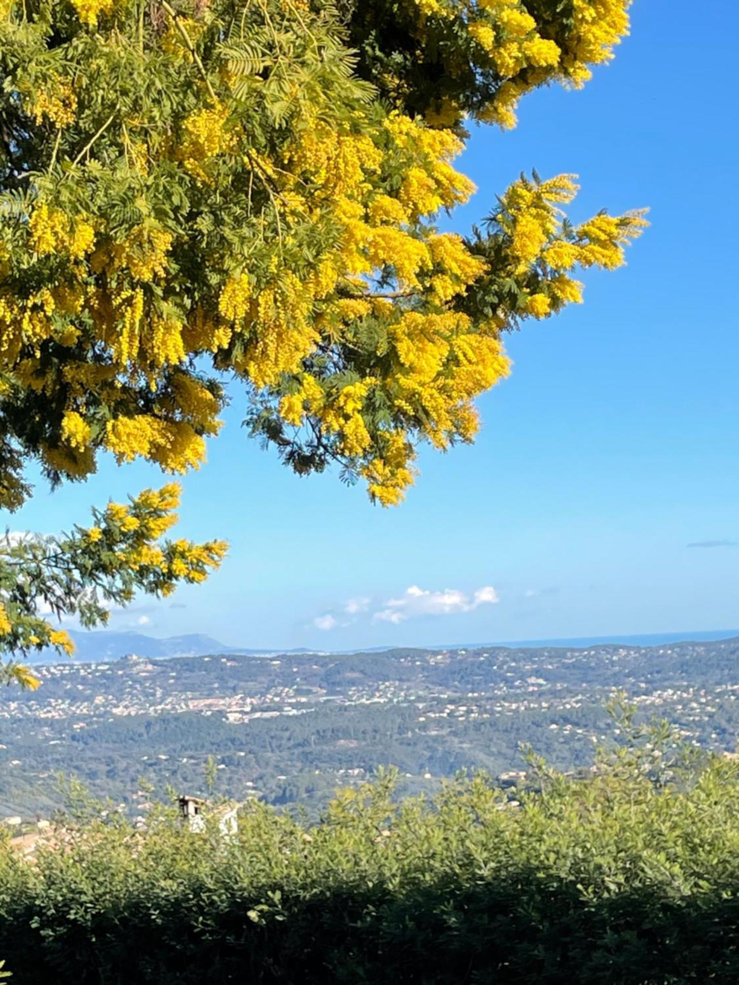 Au Pied Des Baous Panzió Vence Kültér fotó