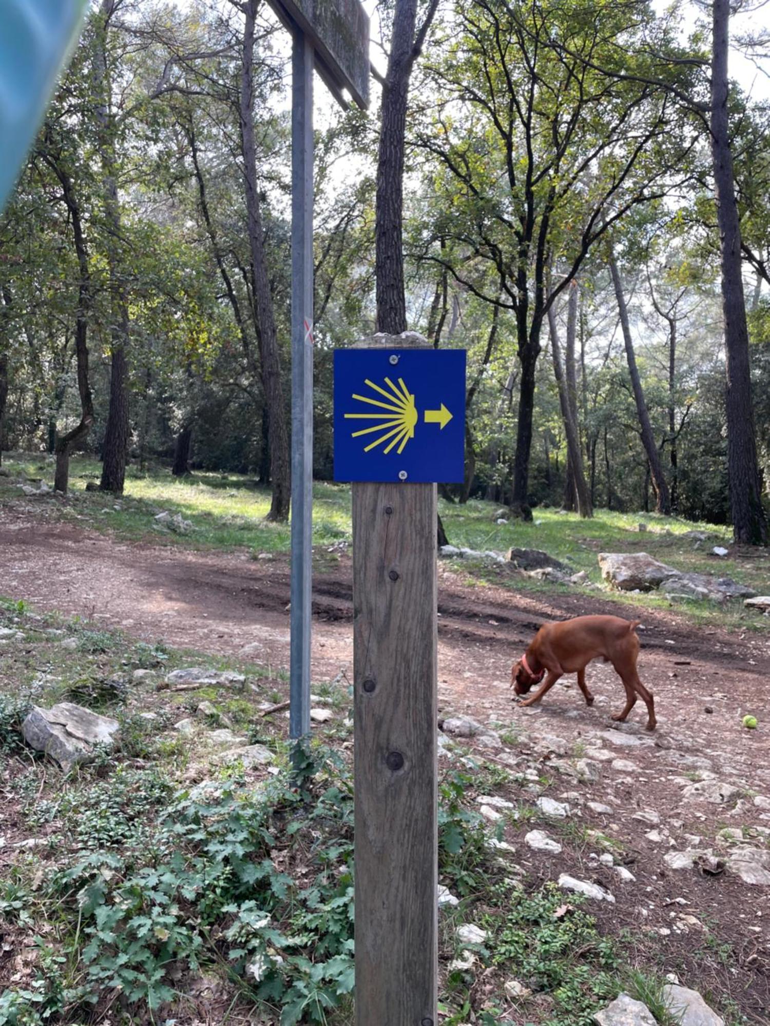 Au Pied Des Baous Panzió Vence Kültér fotó