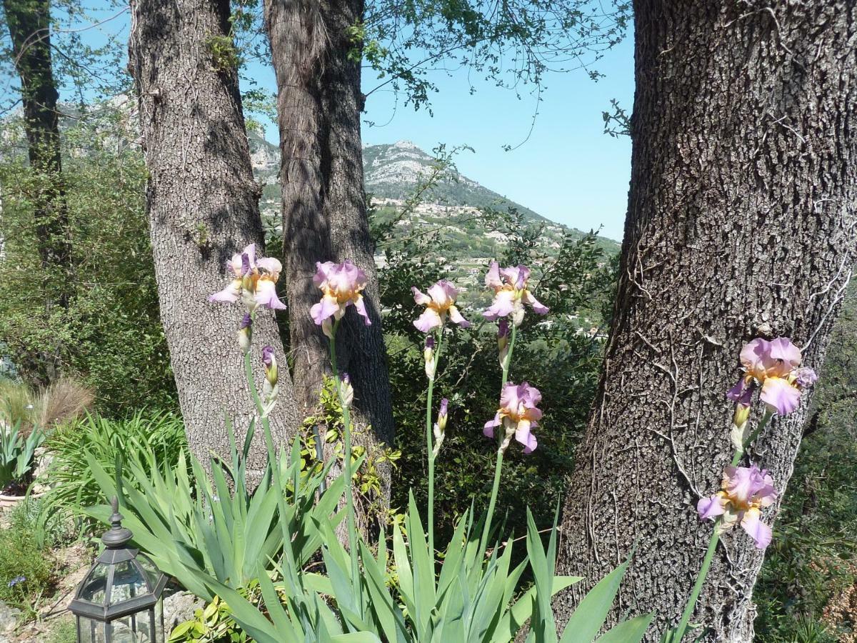 Au Pied Des Baous Panzió Vence Kültér fotó